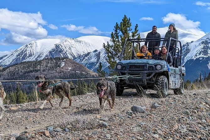Summer Sled Dog Remote Yukon Camp & Summit Tour - Engaging Educational Talks and Q&A