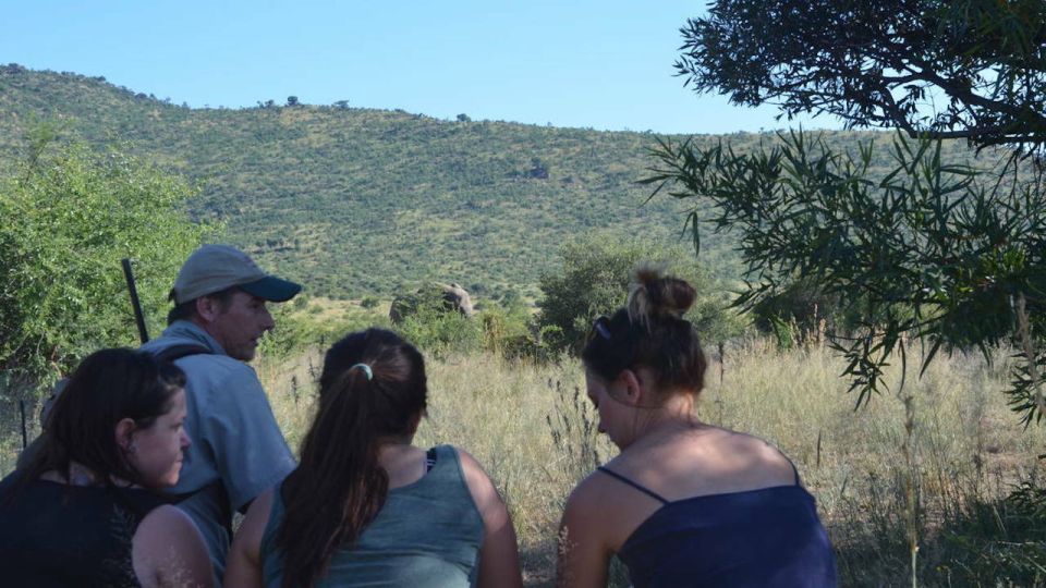 Sun City: Pilanesberg National Park Bush Walk - Learning From the Expert Guide