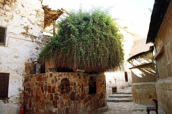 Sunrise at Mt.Sinai and St.Catherine Monastery. Entrance Included - Weather Preparation