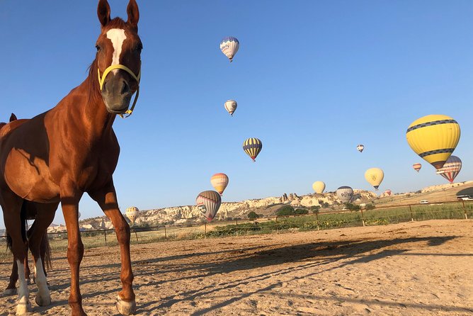Sunrise Horseback Riding Tour in Cappadocia Review - Health and Accessibility