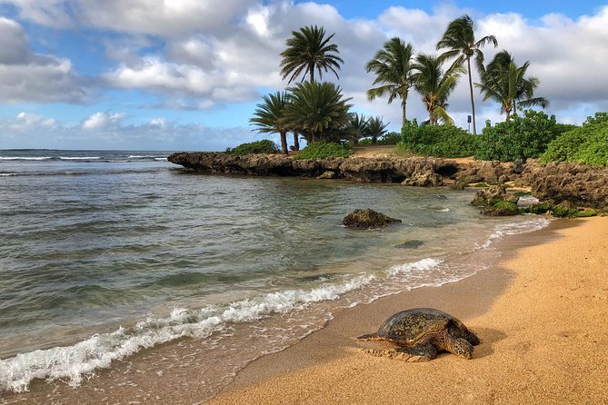 Sunrise Plus Island Tour - Health and Accessibility Details