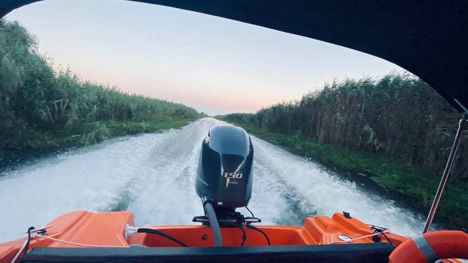 Sunrise ,sunset in the Danube Delta ,Caraorman - Wildlife Spotting Opportunities