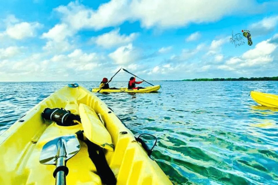 Sunset Kayaking in Negombo - Experience Highlights