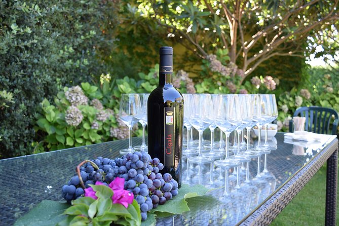 Sunset Tour With Visit and Guided Tasting of 5 Wines and Local Products - Meeting Information