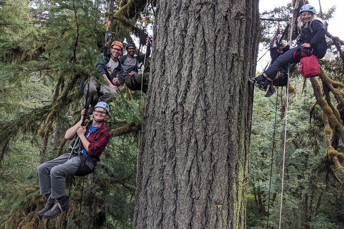 Sunset Tree Climb at Silver Falls State Park - Meeting Location and Time