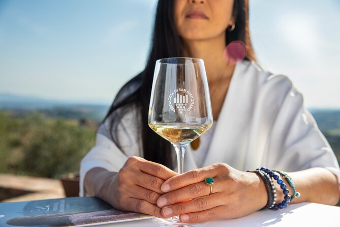 Superior Wine Tasting in San Gimignano - Meeting Point and Accessibility