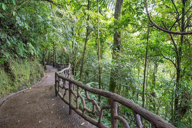 Suspension Bridges, Fortuna Waterfall, Typical Lunch - Pickup Information