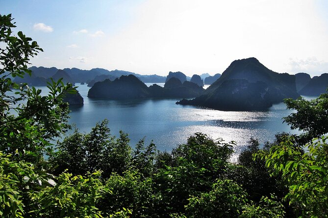 Swan Cruise Halong Bay 2Days 1Night on 4 Star Cruise - Day 2 Itinerary