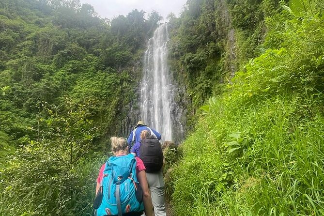 Swim to Materuni and Kikuletwa Hotspring - Daily Schedule