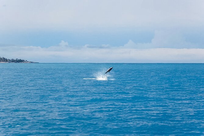 Swim With Dolphins & Turtles in West Oahu (Semi-Private Tours) - Knowledgeable Captains and Crew