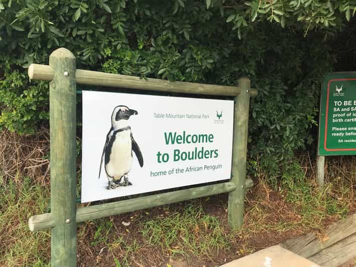 Table Mountain, Cape of Good Hope & African Penguins Tour - Good To Know