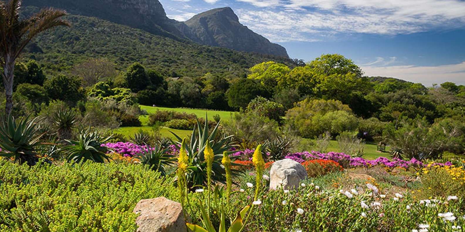 Table Mountain & Constantia Wine Tasting Full Day Tour - Exploring Table Mountain