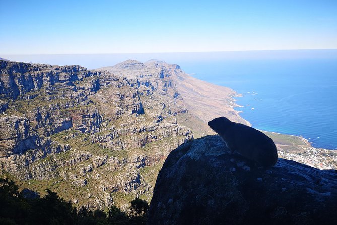 Table Mountain Half Day Hike: India Venster Trail - Health and Safety Guidelines