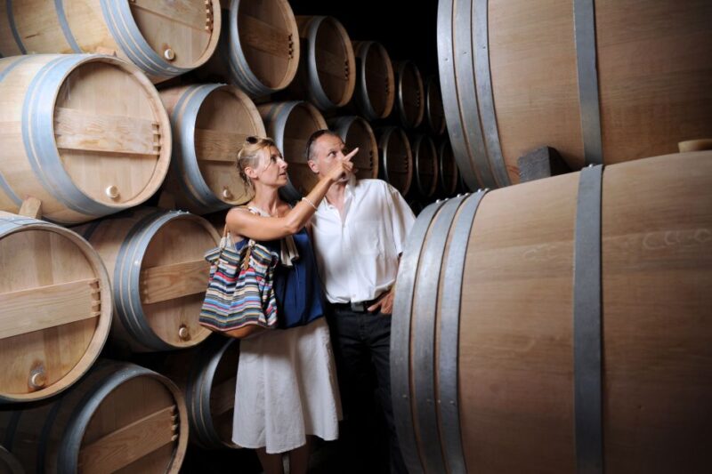 Taillan-Médoc: Château Visit and Wine Tasting in Bordeaux - Winemaking Processes