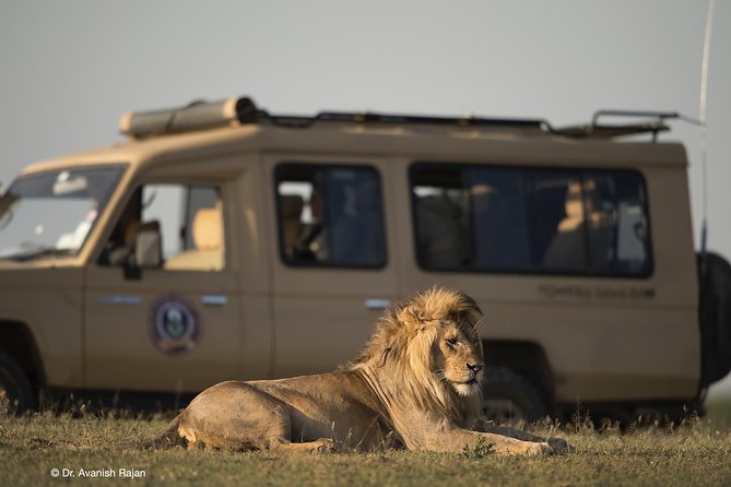 Take Me to Tarangire and Ngorongoro -3 Days - Day 1: Tarangire Highlights