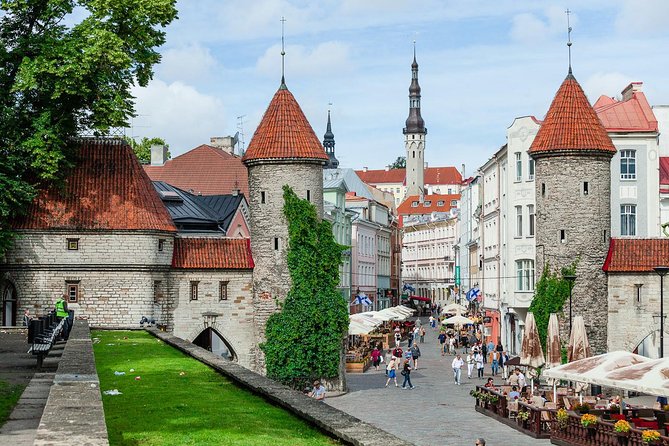 Tallinn Day Trip From Helsinki - Traveler Recommendations