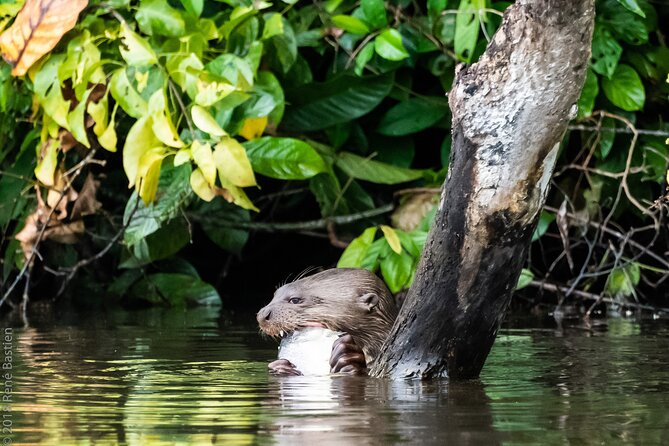 Tambopata National Reserve Tour (3 Days) - Tour Schedule