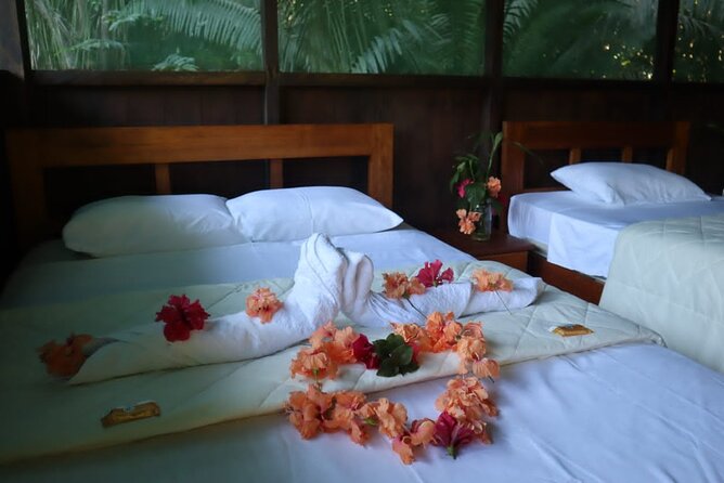 Tambopata. Sandoval Lake and Parrot Clay Lick, 3 Days 2 Nights - Discover Sandoval Lake