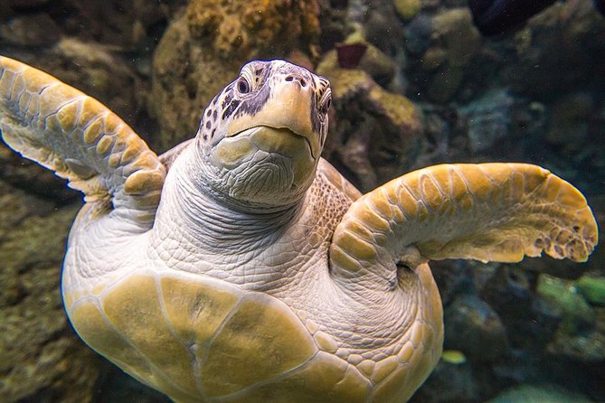 Tampas ZooQuarium Admission - Operating Hours