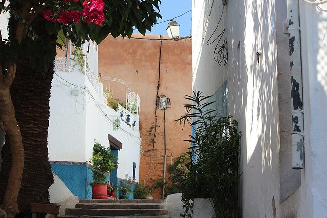 Tangier Day Trip From Seville With Lunch Included & Local Guide - Traveler Feedback