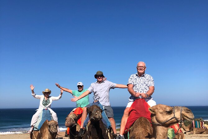 Tangier Private Tour :Medina ,Kasbah, Caves & Camel Ride Included - Customer Ratings and Reviews