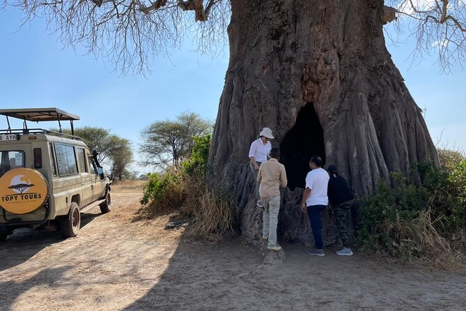 Tarangire, Serengeti, Ngorongoro & Lake Manyara Group Safari (5 Days) - Inclusions and Exclusions