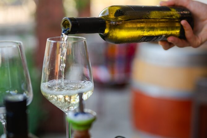 Taste of Istria - Wine, Brandy, Vinegar, Local Food - Traveler Photos