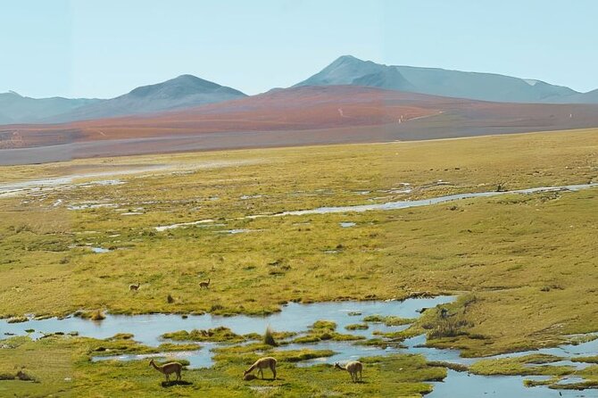 Tatio Geysers - Tour Details and Pricing