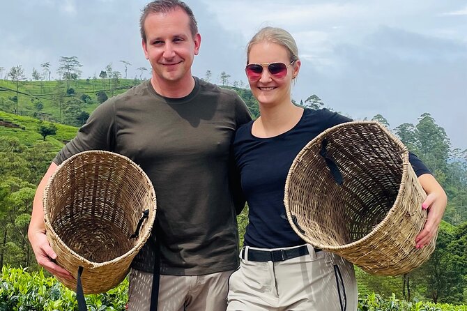 Tea Factory Plantation and Water Falls Tour - Meeting and Pickup Information