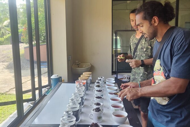 Tea Factory Tour With Tea Tasting Session - Whats Included in the Experience