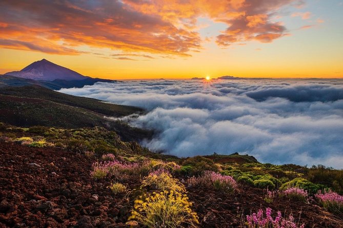 Teide 1/2 Day - Traveler Feedback