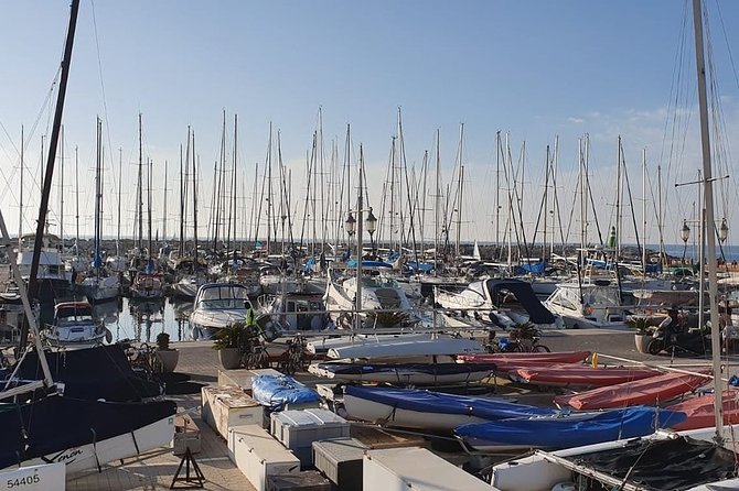 Tel Aviv Highlights Bike Tour - Tour Experience Highlights