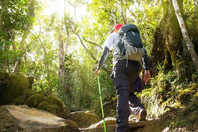 Templer Park and Kanching Waterfall Tour With Batu Caves Stopover - Itinerary Details