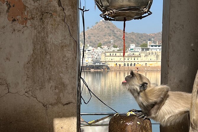 Temples Walk Around 52 Ghats ( Spiritual Tour )-The Pushkar Route - Hidden Temples to Discover