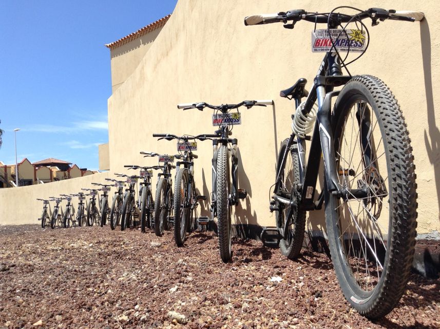 Tenerife: Mountain Bike Rental With Hotel Delivery - Explore Tenerifes Trails