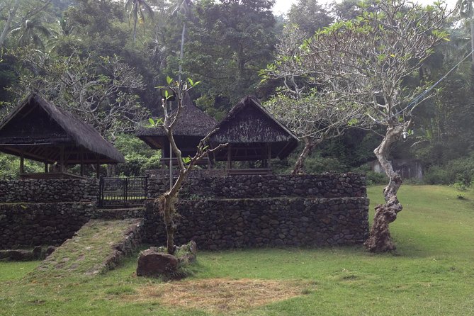 Tenganan Village Rice Field Trekking Tour - Trekking Experience