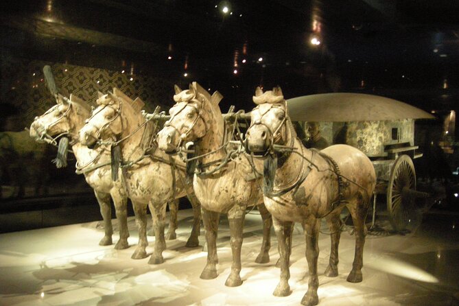Terra-Cotta Warriors Ticket With Optional Car & Guided Service - Customer Reviews and Insights
