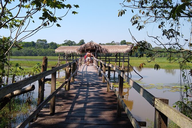The Amazon River and the Meeting of the Waters Group Tour - Discovering the Meeting of the Waters