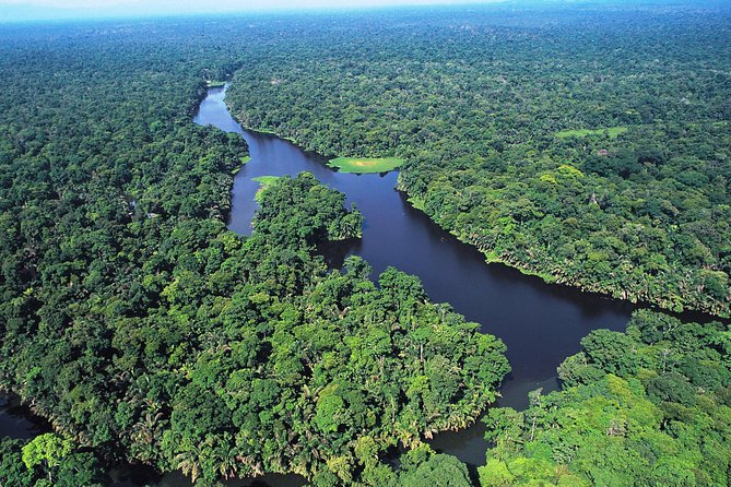 The Authentic Tortuguero National Park One Day Tour - Biodiversity and Ecosystem