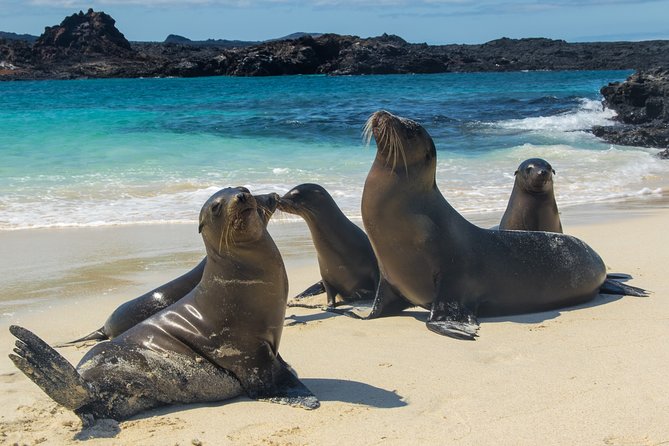 The Best of Ecuador & Galapagos 12 Days / 11 Nights - Nature and Cultural Experiences