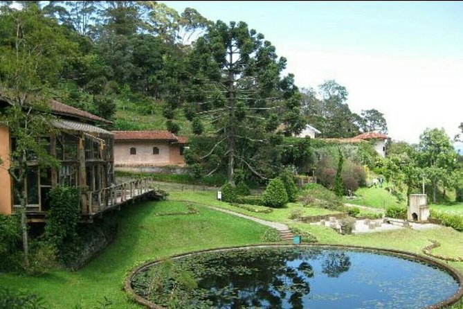 The Brazilian Switzerland - Full Day Trip to Campos Do Jordão From São Paulo - Exploration and Activities