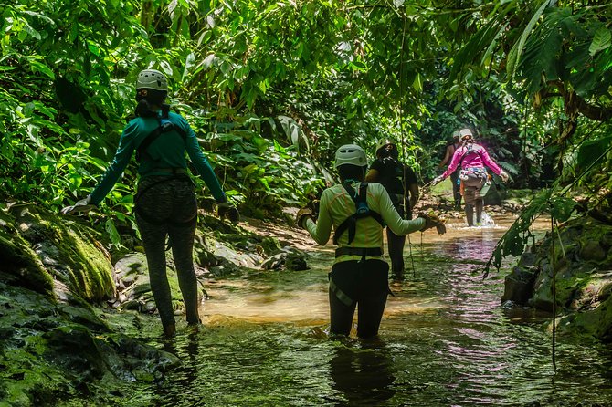 The Cañoning Jungle Adventure! - Tour Experience