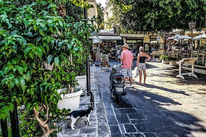 The Cosmopolitan City of Rhodes Walking Tour - What to Expect