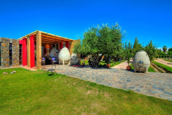The Enemy Winery + Lunch in Angélica Zapata. Transfer Included - Winery Visit and Wine Tasting