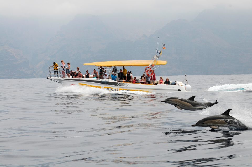 The Giants: Dolphin & Whale Watching Cruise With Swimming - Highlights of the Experience