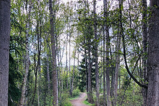 The Great Forest Immersion Tour in Canada - Booking Information