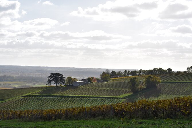 The Great Sauternes Wine Tour - Accessibility and Tour Experience