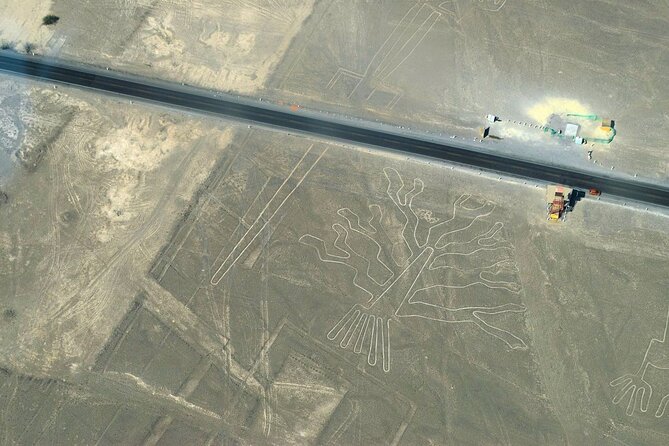 The Nazca Lines Flight Tour & Huacachina Oasis - Private Trip - Huacachina Oasis Exploration