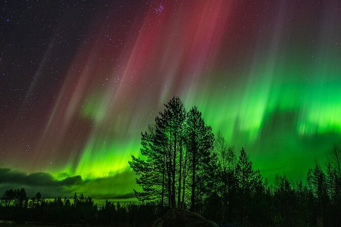 The Ultimate Aurora Hunt Guaranteed - Traveler Reviews