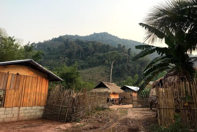 The Ultimate Hiker'S Choice - 5 Days Forest Trek With Homestay and Camping - Accommodation Options
